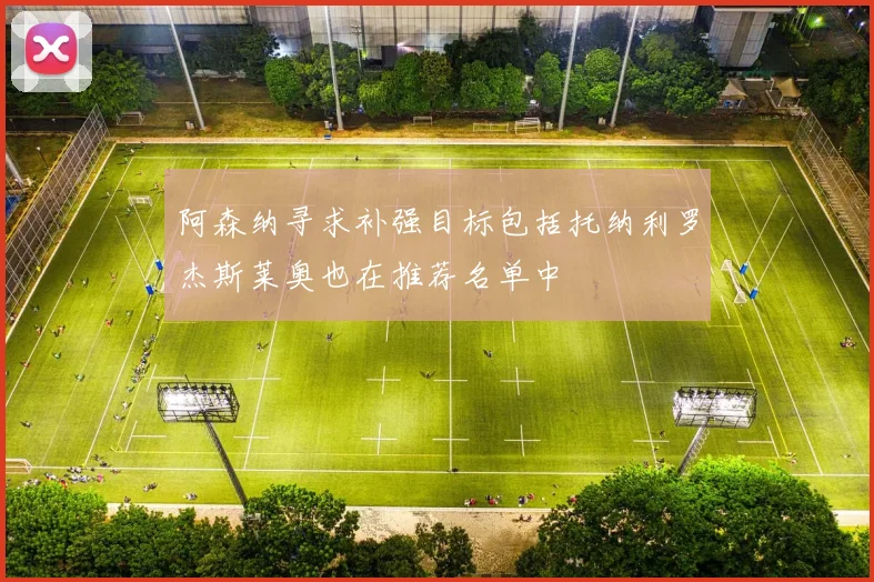 阿森纳寻求补强目标包括托纳利罗杰斯莱奥也在推荐名单中